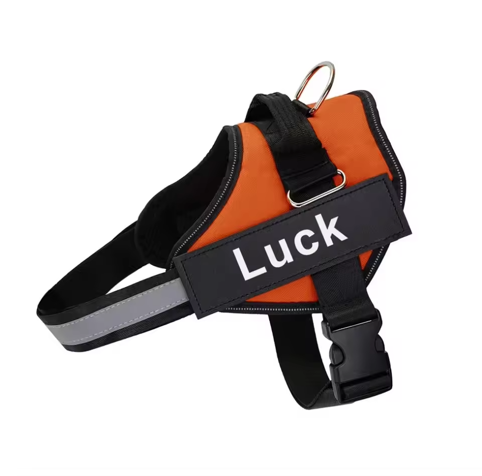 Personalised No Pull Dog Harness